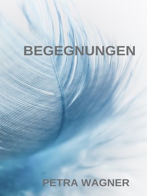 cover image of Begegnungen